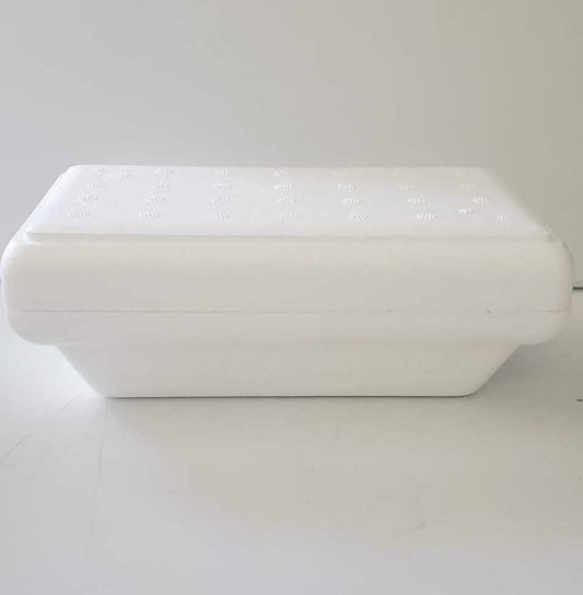 Styrofoam Thermal Conteiner 750G